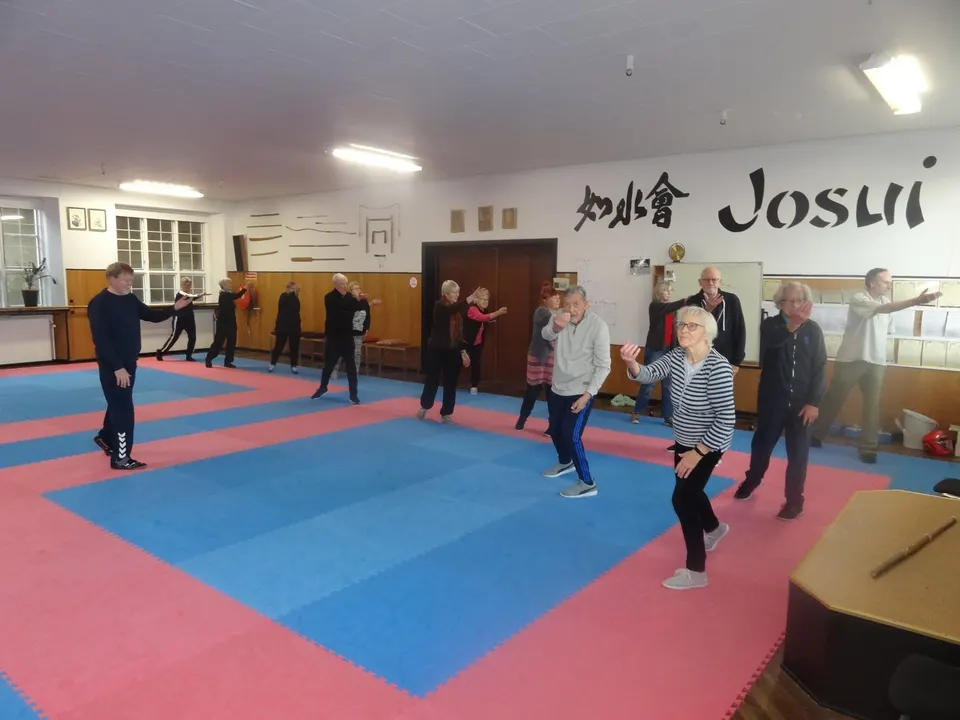 Seniorholdet varmer op med qi gong på de blå og røde måtter i dojoen i Viborg Hallen